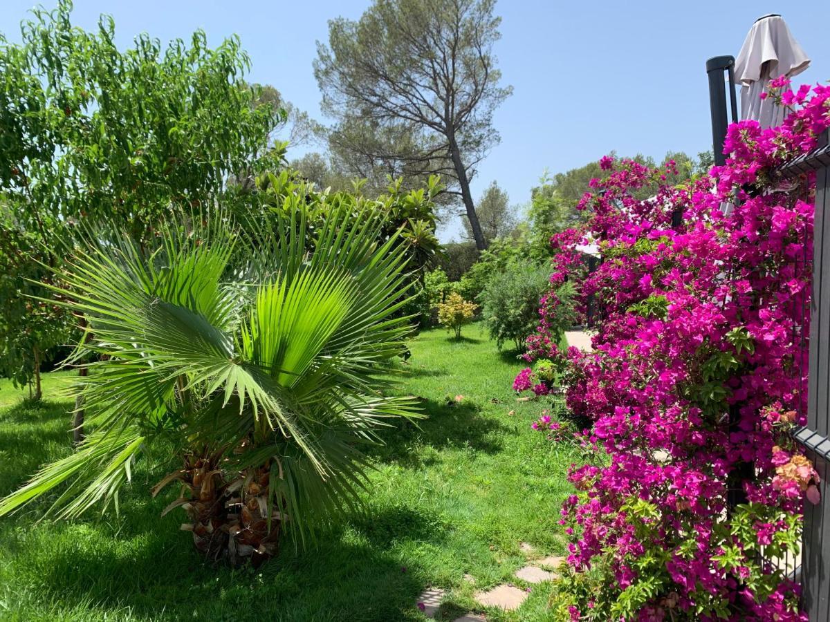 La Balma - 4 Appartements Avec Jardin En Maison Passive De Plain Pied A Frejus-Saint-Raphael Bagian luar foto